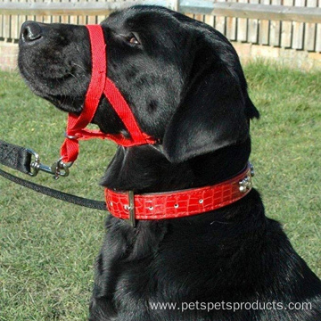 Durable Dog Head Colla Training Tool Leashes